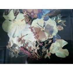 brocante droogbloemen met vlinder tafereel achter glas €9